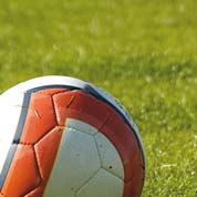 Lawn for Play Areas - 5kg - 175m2